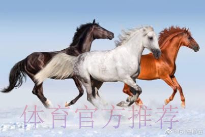 馬體會對賽硬淨值捧 馬體會對賽硬淨值捧